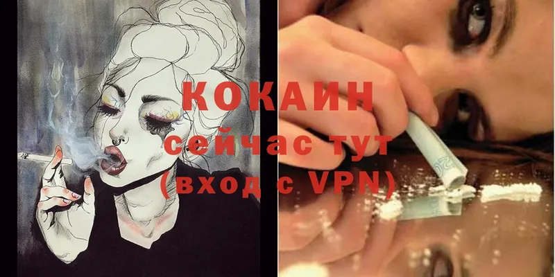 где найти   Кашира  Кокаин Боливия 