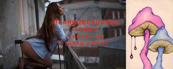 мдма Новозыбков