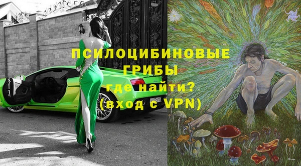 амф Няндома