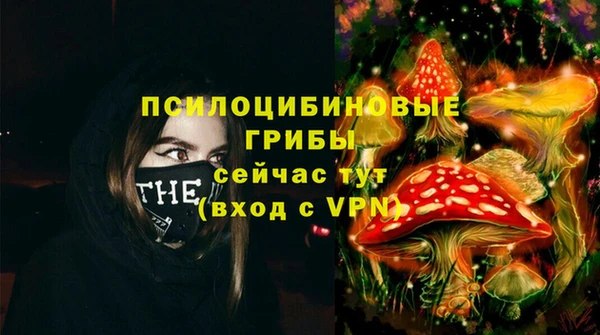 СК Нея