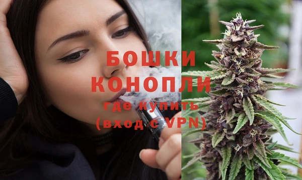 амф Няндома