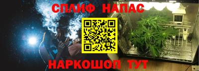 гашик Аргун