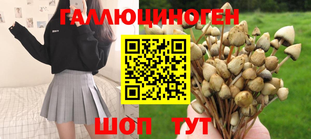 Псилоцибиновые грибы прущие грибы  Вход с VPN  Кашира 