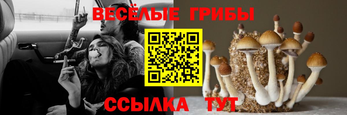 А ПВП Кашира